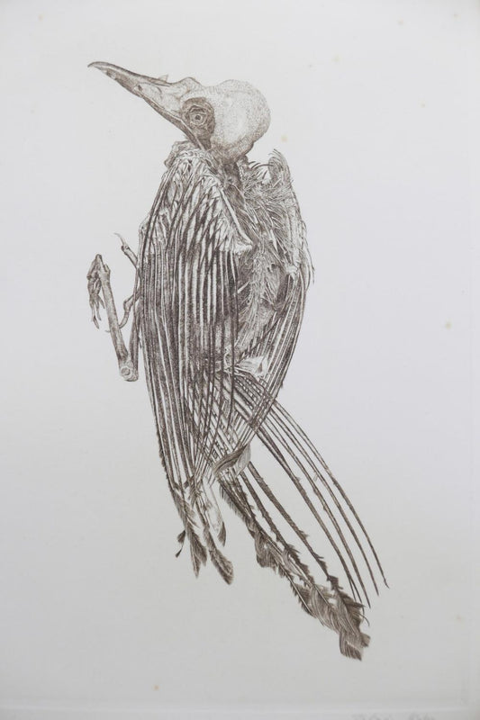 Dead Bird, engraving by Takiji Kubo