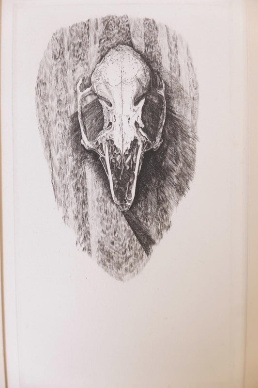 Skull, engraving by Takuji Kubo